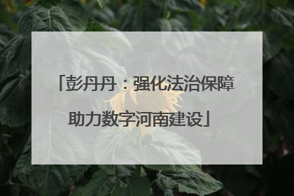 彭丹丹：强化法治保障 助力数字河南建设