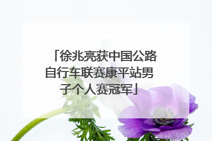 徐兆亮获中国公路自行车联赛康平站男子个人赛冠军