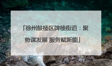 徐州鼓楼区牌楼街道：聚势谋发展 服务赋新能