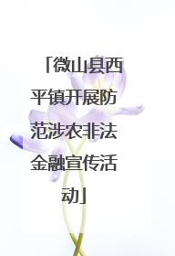 微山县西平镇开展防范涉农非法金融宣传活动