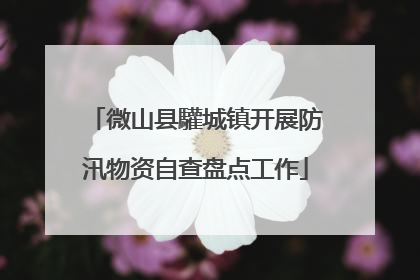 微山县驩城镇开展防汛物资自查盘点工作
