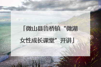 微山县鲁桥镇“微湖女性成长课堂”开讲