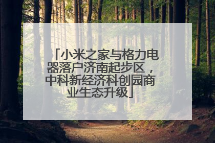 小米之家与格力电器落户济南起步区，中科新经济科创园商业生态升级