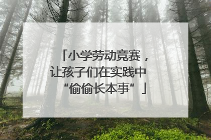小学劳动竞赛，让孩子们在实践中“偷偷长本事”