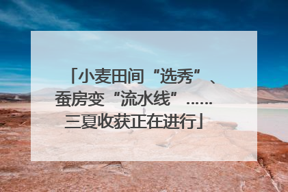 小麦田间“选秀”、蚕房变“流水线”……三夏收获正在进行