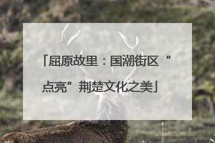 屈原故里：国潮街区“点亮”荆楚文化之美