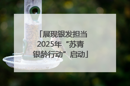 展现银发担当 2025年“苏青银龄行动”启动