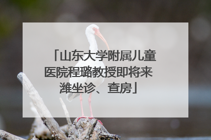 山东大学附属儿童医院程璐教授即将来潍坐诊、查房