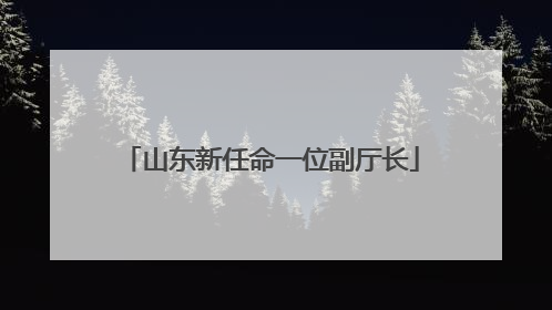 山东新任命一位副厅长