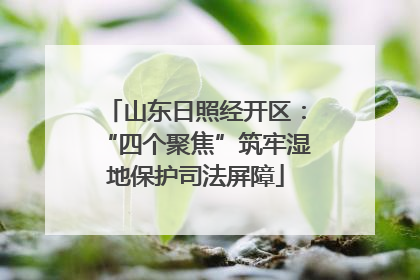山东日照经开区：“四个聚焦”筑牢湿地保护司法屏障