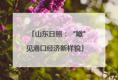 山东日照：“瞰”见港口经济新样貌