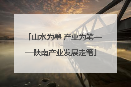 山水为墨 产业为笔——陕南产业发展走笔
