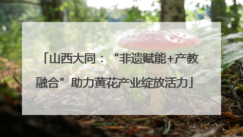 山西大同：“非遗赋能+产教融合”助力黄花产业绽放活力