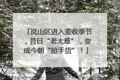 岚山区进入麦收季节，昔日“老大难”，变成今朝“抢手货”！