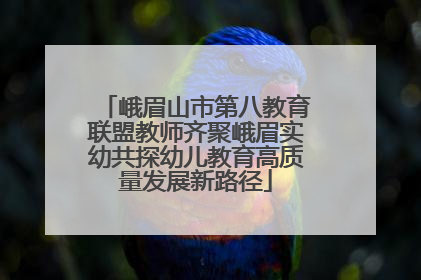 峨眉山市第八教育联盟教师齐聚峨眉实幼共探幼儿教育高质量发展新路径