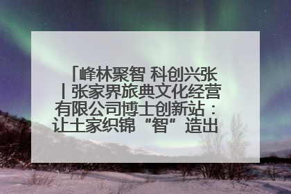 峰林聚智 科创兴张丨张家界旅典文化经营有限公司博士创新站：让土家织锦“智”造出非遗新传奇