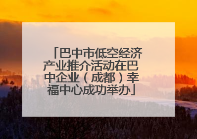 巴中市低空经济产业推介活动在巴中企业（成都）幸福中心成功举办