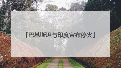 巴基斯坦与印度宣布停火