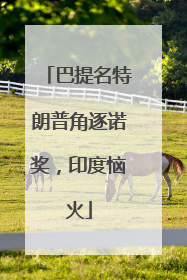 巴提名特朗普角逐诺奖，印度恼火