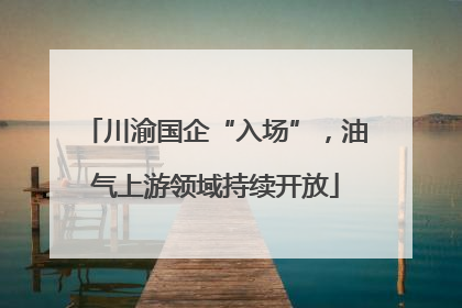 川渝国企“入场”，油气上游领域持续开放