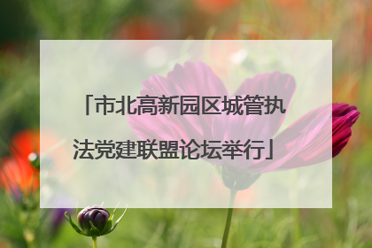 市北高新园区城管执法党建联盟论坛举行