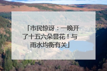 市民惊讶：一晚开了十五六朵昙花！与雨水均衡有关