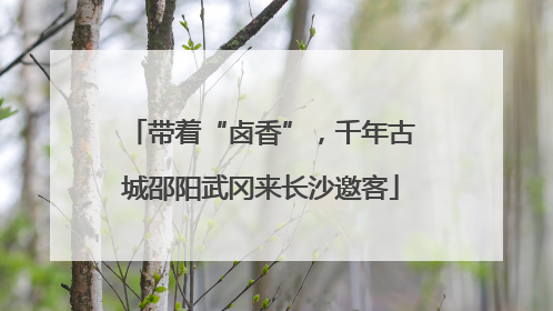 带着“卤香”，千年古城邵阳武冈来长沙邀客