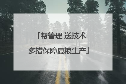帮管理 送技术 多措保障夏粮生产