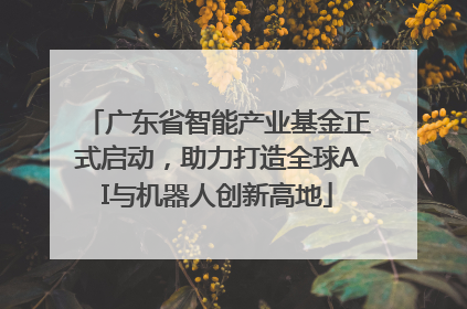 广东省智能产业基金正式启动，助力打造全球AI与机器人创新高地