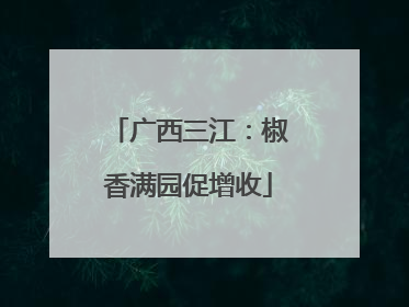 广西三江：椒香满园促增收