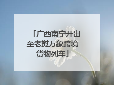 广西南宁开出至老挝万象跨境货物列车