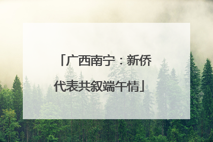 广西南宁：新侨代表共叙端午情