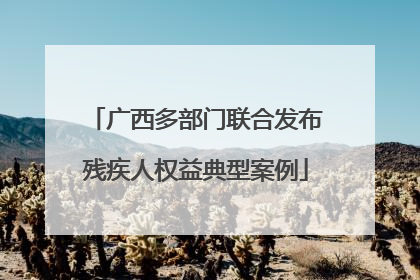 广西多部门联合发布残疾人权益典型案例