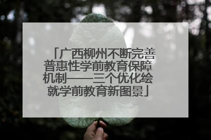 广西柳州不断完善普惠性学前教育保障机制——三个优化绘就学前教育新图景