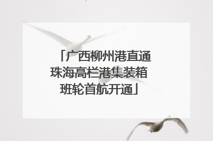 广西柳州港直通珠海高栏港集装箱班轮首航开通