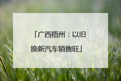 广西梧州：以旧换新汽车销售旺