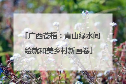 广西苍梧：青山绿水间绘就和美乡村新画卷