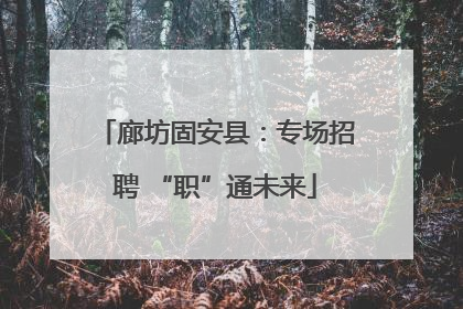 廊坊固安县：专场招聘 “职”通未来