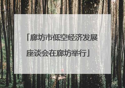 廊坊市低空经济发展座谈会在廊坊举行