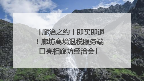 廊洽之约丨即买即退！廊坊离境退税服务端口亮相廊坊经洽会