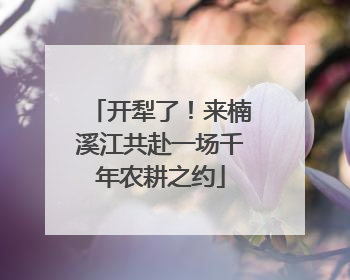 开犁了！来楠溪江共赴一场千年农耕之约