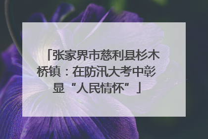 张家界市慈利县杉木桥镇：在防汛大考中彰显“人民情怀”