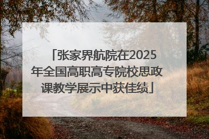 张家界航院在2025年全国高职高专院校思政课教学展示中获佳绩