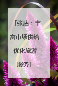 张店：丰富市场供给 优化旅游服务