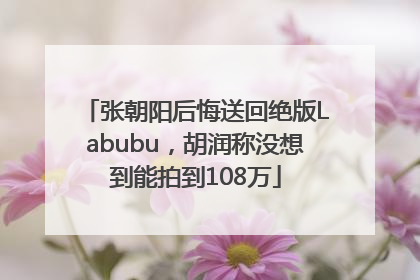张朝阳后悔送回绝版Labubu，胡润称没想到能拍到108万