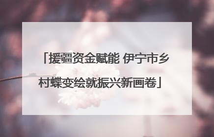 援疆资金赋能 伊宁市乡村蝶变绘就振兴新画卷
