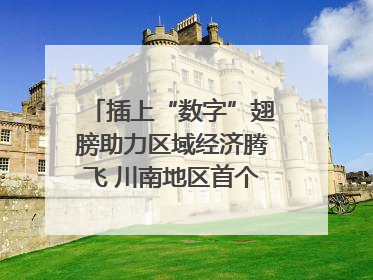 插上“数字”翅膀助力区域经济腾飞 川南地区首个智算中心启动