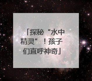 探秘“水中精灵”！孩子们直呼神奇