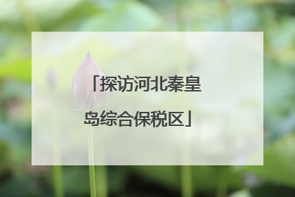 探访河北秦皇岛综合保税区