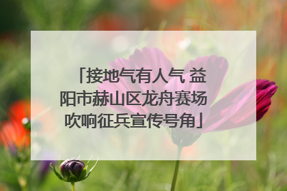 接地气有人气 益阳市赫山区龙舟赛场吹响征兵宣传号角
